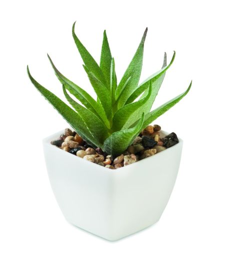 Mini planta artificial Personalizada 7MO2852