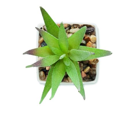Mini planta artificial Personalizada 7MO2852