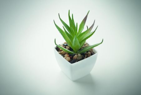 Mini planta artificial Personalizada 7MO2852