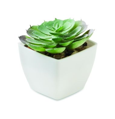 Mini planta artificial Personalizada 7MO2853