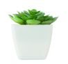 Mini planta artificial Personalizada 7MO2853 - Imagen 2