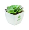 Mini planta artificial Personalizada 7MO2853 - Imagen 4