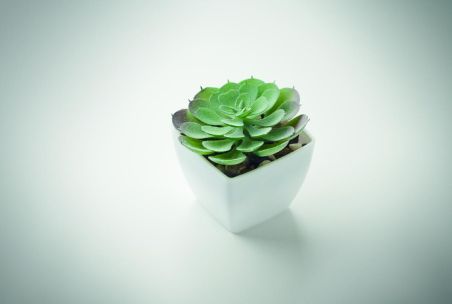 Mini planta artificial Personalizada 7MO2853