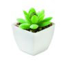 Mini planta artificial Personalizada 7MO2854 - Imagen 1