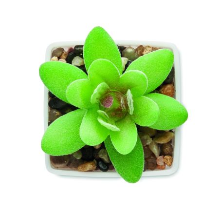 Mini planta artificial Personalizada 7MO2854