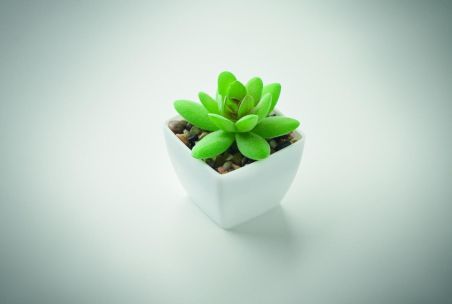 Mini planta artificial Personalizada 7MO2854