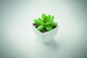 Mini planta artificial Personalizada 7MO2854 - Imagen 5