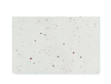 Tarjeta de visita de semillas d Personalizada...