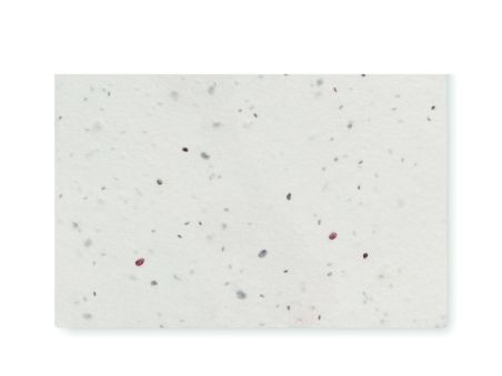 Tarjeta de visita de semillas d Personalizada 7MO2993