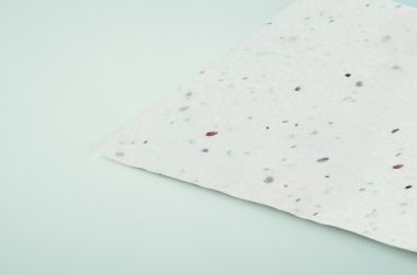 Tarjeta de visita de semillas d Personalizada...