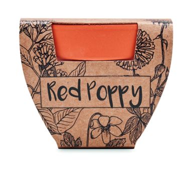 Juego de macetas de terracota Personalizado...