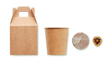 Set pino Personalizado 7MO6228