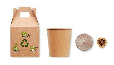 Set pino Personalizado 7MO6228