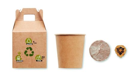 Set pino Personalizado 7MO6228