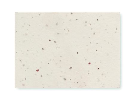 Bloc de notas semillas hierba Personalizada 7MO6234