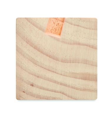 Set sobremesa kit de semillas Personalizada...