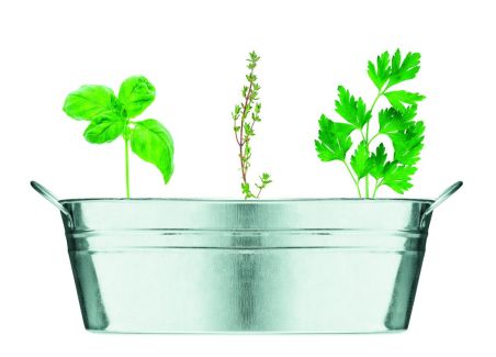 Maceta de zinc con 3 semillas Personalizada 7MO6497