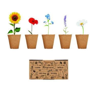 Kit de cultivo de flores Personalizado 7MO6500