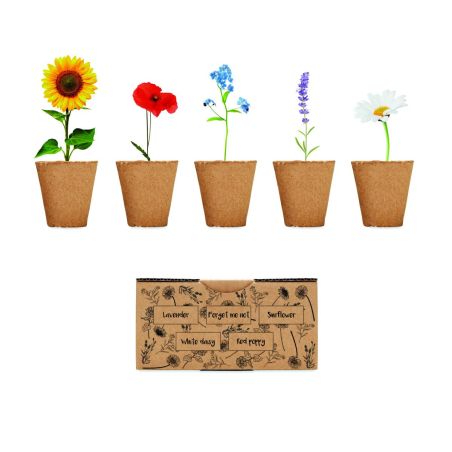 Kit de cultivo de flores Personalizado 7MO6500
