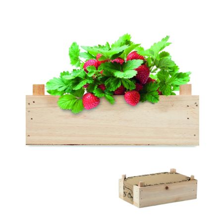 Kit de fresas en caja madera Personalizada 7MO6506