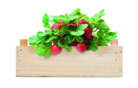 Kit de fresas en caja madera Personalizada 7MO6506