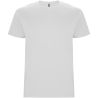 Camiseta de manga corta para hombre Personalizada 6R6681 - Imagen 36