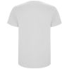 Camiseta de manga corta para hombre Personalizada 6R6681 - Imagen 39