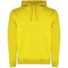 Sudadera con capucha para hombre Personalizada 6R1067 - Imagen 1