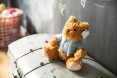 Oso de peluche con sudadera Personalizada 108182