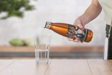Botella de Acero Inoxidable 650ml Personalizada | Goodie