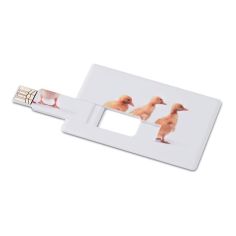 Creditcard. USB flash 16GB Personalizado 7MO1059c