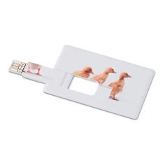 Creditcard. USB flash 16GB Personalizado 7MO1059c
