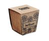 Kit de Cultivo de Girasoles con Maceta Biodegradable Personalizado 7MO2411 - Imagen 5