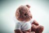 Osito de Peluche Grande con Sudadera Personalizado 7MO6738 - Imagen 4