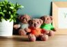 Osito de Peluche con Camiseta y Capucha Personalizada 7MO7375 - Imagen 8