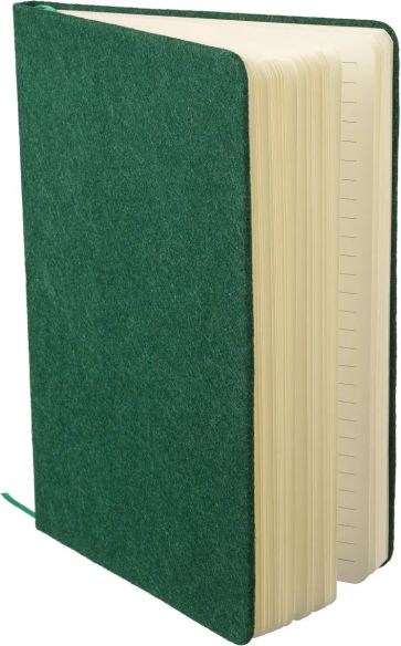 Cuaderno Danio | Fieltro reciclado | A5 | Personalizado | Goodie