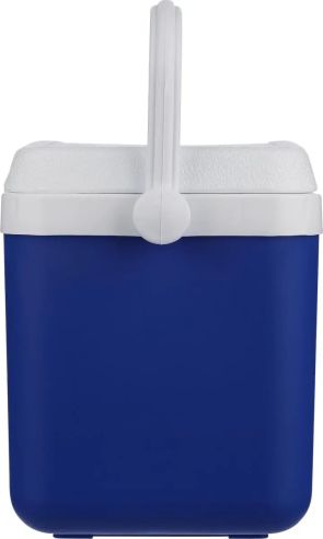 Nevera portátil 4l Personalizada | Goodie