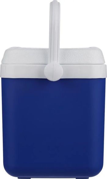 Nevera portátil 4l Personalizada | Goodie