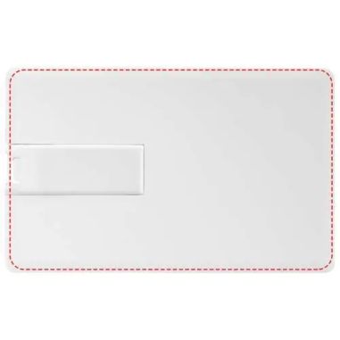 Memoria USB Diseño de Tarjeta de 2 GB Personalizada | Goodie