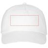 Gorra de 5 Paneles en Sarga de Algodón de 175 g/m² Personalizada 638666 - Imagen 15