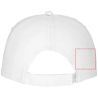 Gorra de 5 Paneles en Sarga de Algodón de 175 g/m² Personalizada 638666 - Imagen 22