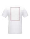 Camiseta Orgánica Azurite de Manga Corta para Hombre Personalizada 637506 - Imagen 19