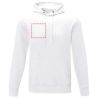 Sudadera con capucha unisex de 240 g/m² Personalizada 638233 - Imagen 17