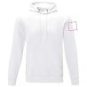 Sudadera con capucha unisex de 240 g/m² Personalizada 638233 - Imagen 34