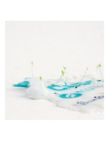 Acreditación Ecológica Semillas