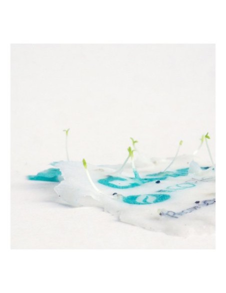 Acreditación Ecológica Semillas