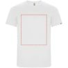 Camiseta deportiva de manga corta para hombre de 135 g/m² Personalizada 6R0427 - Imagen 27