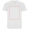 Camiseta deportiva de manga corta infantil de 135 g/m² Personalizada 6K0427 - Imagen 26