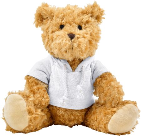 Oso de Peluche con Sudadera Personalizado | Goodie
