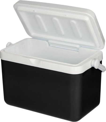 Nevera portátil 4l Personalizada | Goodie